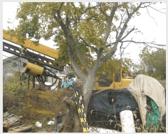  2025Ÿ��7203 ���� ���ֽ� ������ ������ 918-4      ����(��1)���