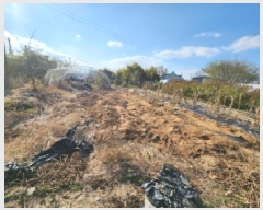  2025Ÿ��7203 ���� ���ֽ� ������ ������ 918-4      ����(��1)���