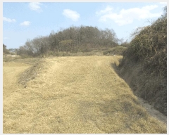  2025Ÿ��32379  �����