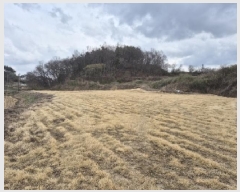  2025Ÿ��32379  �����