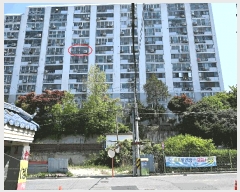  2025Ÿ32656   ֿ 383 1 8812ȣ     Ʈ