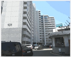  2025Ÿ32656   ֿ 383 1 8812ȣ     Ʈ