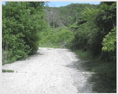  2025Ÿ��32670 ���� ȭ���� ���� ������ 198-25      ����(��1)���