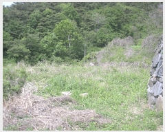  2025Ÿ��32670 ���� ȭ���� ���� ������ 198-25      ����(��1)���