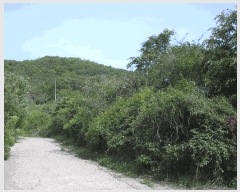  2025Ÿ��32670 ���� ȭ���� ���� ������ 198-25      ����(��1)���