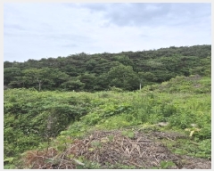  2025Ÿ��32670 ���� ȭ���� ���� ������ 198-25      ����(��1)���