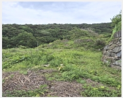  2025Ÿ��32670 ���� ȭ���� ���� ������ 198-25      ����(��1)���