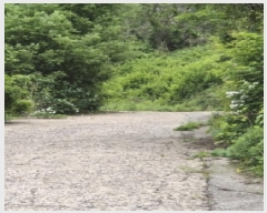  2025Ÿ��32670 ���� ȭ���� ���� ������ 198-25      ����(��1)���