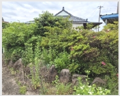  2025Ÿ32719  籺 ϸ  199      ð