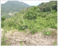  2025Ÿ32892  ȭ   198-1      (1)