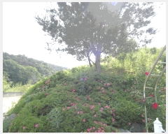  2025Ÿ32892  ȭ   198-1      (1)