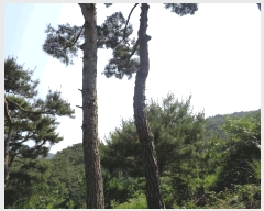  2025Ÿ32892  ȭ   198-1      (1)