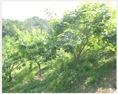  2025Ÿ32892  ȭ   198-1      (1)