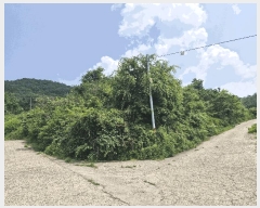  2025Ÿ32892  ȭ   198-1      (1)