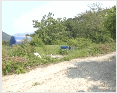  2025Ÿ32892  ȭ   198-1      (1)