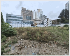  2025Ÿ��33067  �������