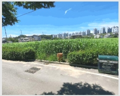  2025Ÿ33356  籺  긮 398-1      (1)