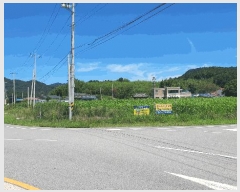  2025Ÿ33356  籺  긮 398-1      (1)