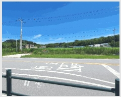  2025Ÿ33356  籺  긮 398-1      (1)