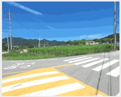  2025Ÿ33356  籺  긮 398-1      (1)