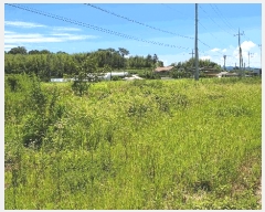  2025Ÿ33356  籺  긮 398-1      (1)