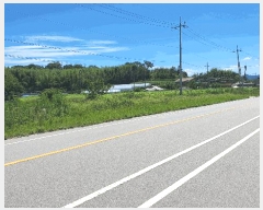  2025Ÿ33356  籺  긮 398-1      (1)