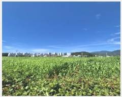  2025Ÿ33356  籺  긮 398-1      (1)