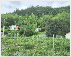  2025Ÿ33459   絿  264      ð