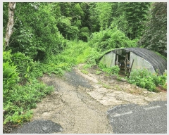  2025Ÿ33459   絿  264      ð