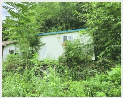  2025Ÿ33459   絿  264      ð