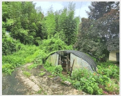  2025Ÿ33459   絿  264      ð