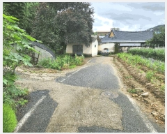  2025Ÿ33459   絿  264      ð