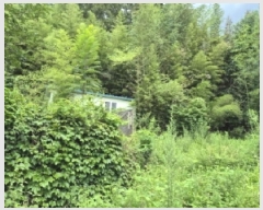  2025Ÿ33459   絿  264      ð