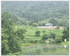  2025Ÿ33467  籺  е 706      ()