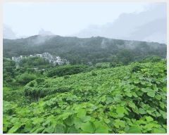  2025Ÿ33467  籺  е 706      ()