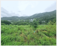  2025Ÿ33467  籺  е 706      ()