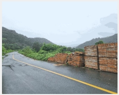  2025Ÿ33467  籺  е 706      ()