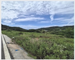  2025Ÿ33467  籺  е 706      ()