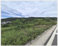  2025Ÿ33467  籺  е 706      ()