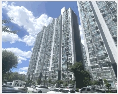  2025Ÿ��33551  ����Ʈ���