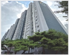  2025Ÿ��33551  ����Ʈ���