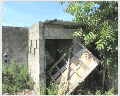  2025Ÿ��33562 ���� ���ֽ� �ݳ��� ��ȸ� 206      ���ð��