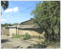  2025Ÿ��33562 ���� ���ֽ� �ݳ��� ��ȸ� 206      ���ð��