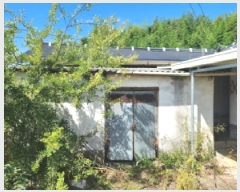  2025Ÿ��33562 ���� ���ֽ� �ݳ��� ��ȸ� 206      ���ð��