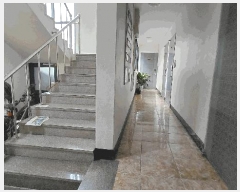  2025Ÿ��33614  �ٰ������ð��