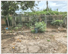  2025Ÿ��33790 ���� ���ֽ� ������ �嵿�� 1126-1      ����(����)���