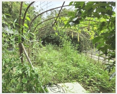  2025Ÿ��33790 ���� ���ֽ� ������ �嵿�� 1126-1      ����(����)���