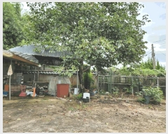  2025Ÿ��33790 ���� ���ֽ� ������ �嵿�� 1126-1      ����(����)���