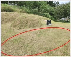  2025Ÿ��33790 ���� ���ֽ� ������ �嵿�� 1126-1      ����(����)���