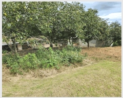  2025Ÿ��33790 ���� ���ֽ� ������ �嵿�� 1126-1      ����(����)���